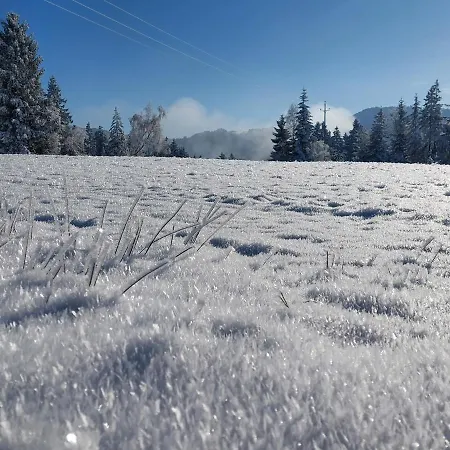 Casa Farnach 公寓 *