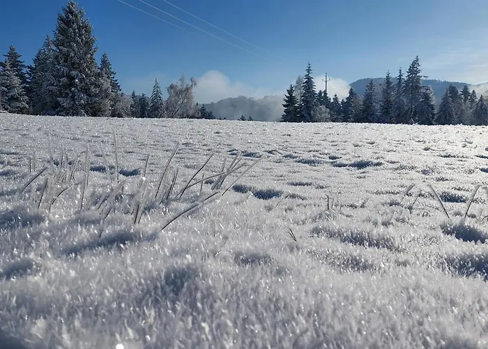 Casa Farnach Apartamento *